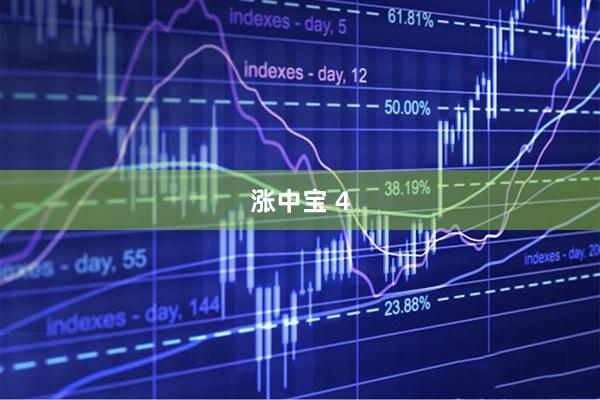 涨中宝 4