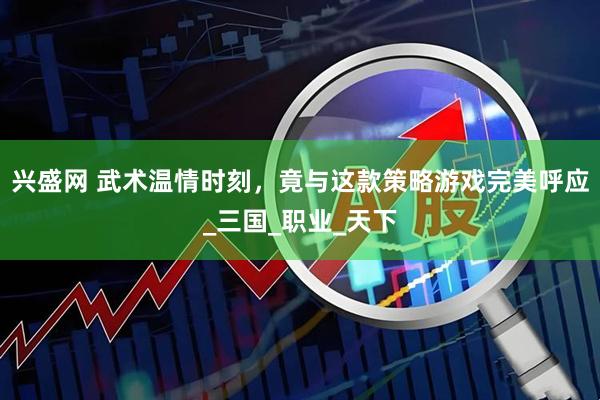 兴盛网 武术温情时刻，竟与这款策略游戏完美呼应_三国_职业_天下