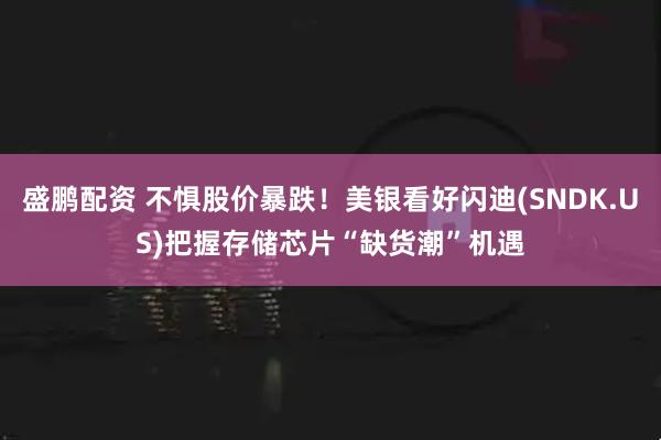 盛鹏配资 不惧股价暴跌！美银看好闪迪(SNDK.US)把握存储芯片“缺货潮”机遇